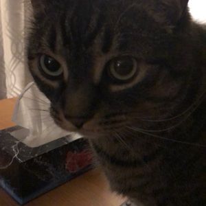 Meet your Posher, Christina hopkins